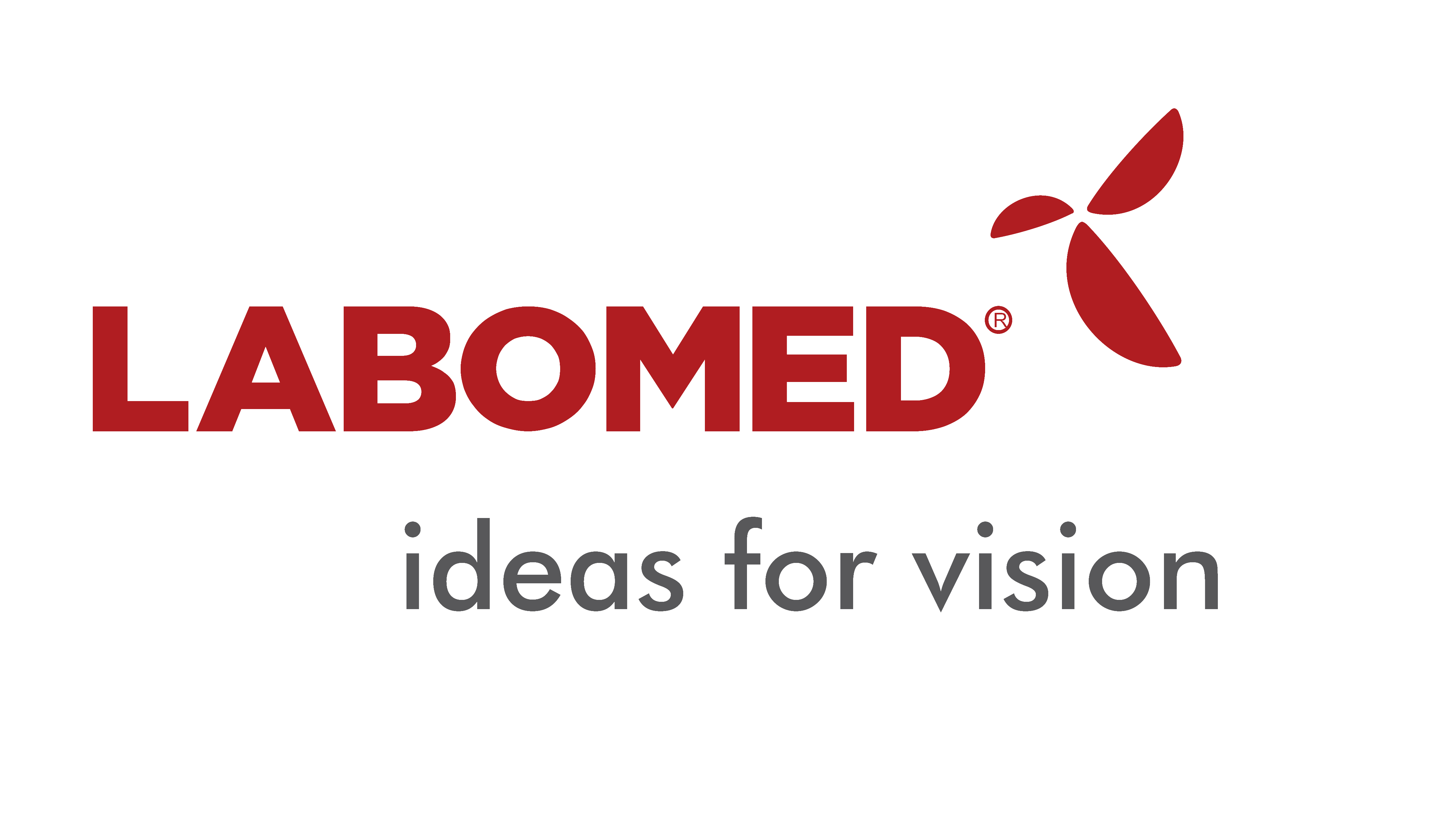 LABOMED - ideas for vision